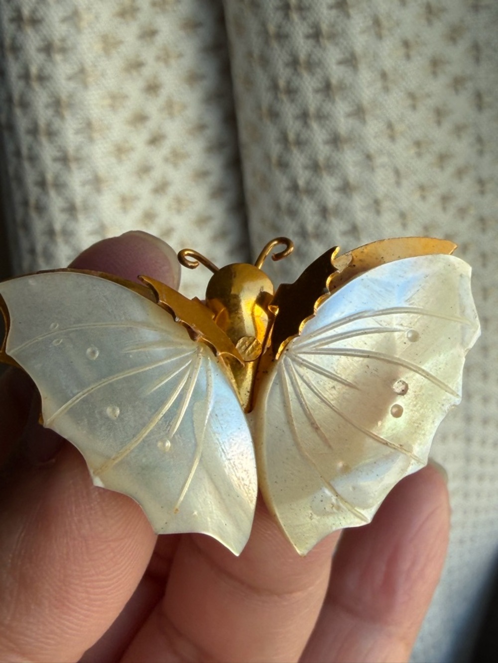 Vintage Sea Shell Carved Butterfly with Wings Gold Brooch Made In Taiwan ROC